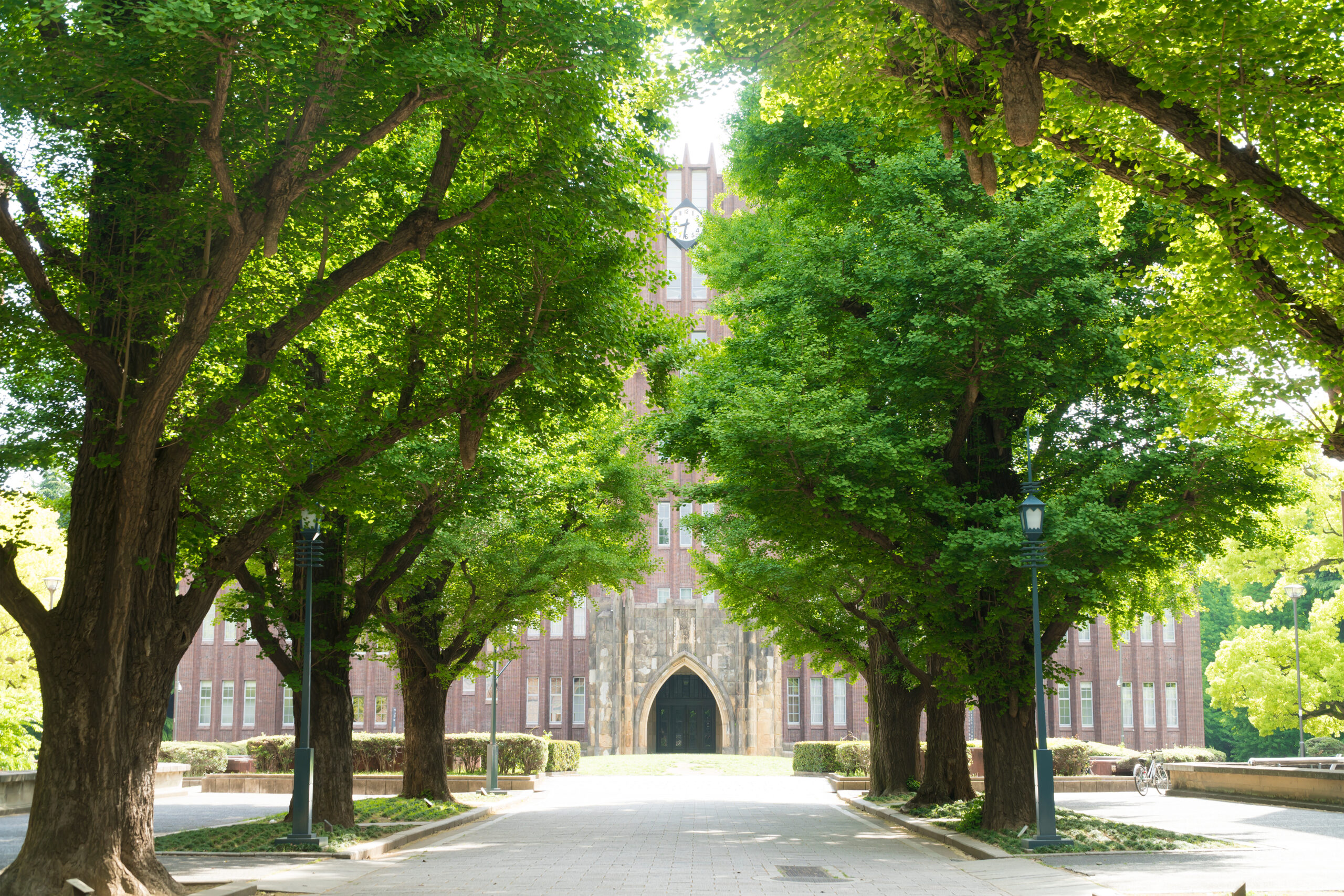 おしゃれな大学