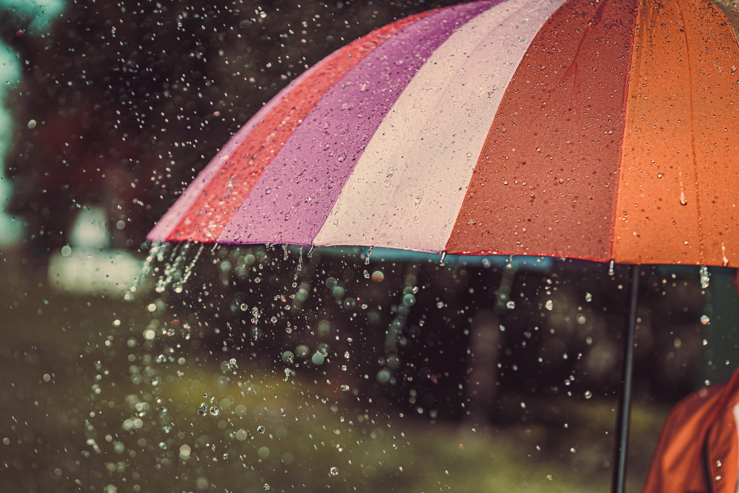 梅雨におすすめのレイングッズ