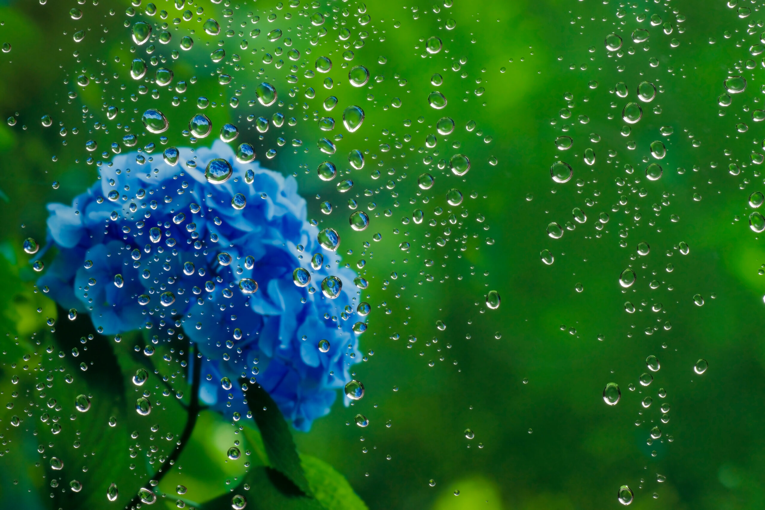 梅雨の湿気対策